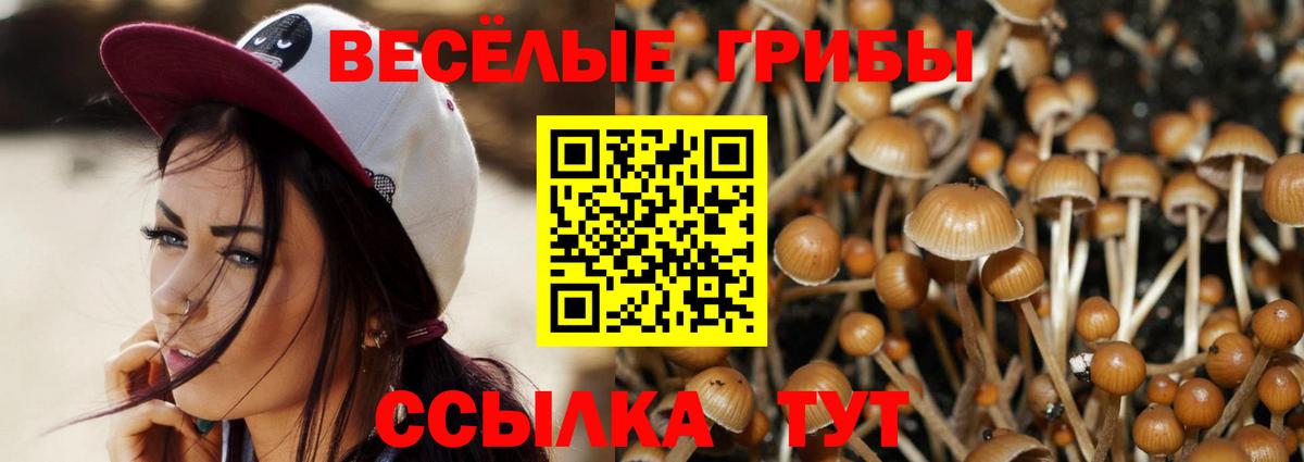 Барабинск  Галлюциногенные грибы Psilocybine cubensis  Вход с VPN  Галлюциногенные грибы мухоморы 